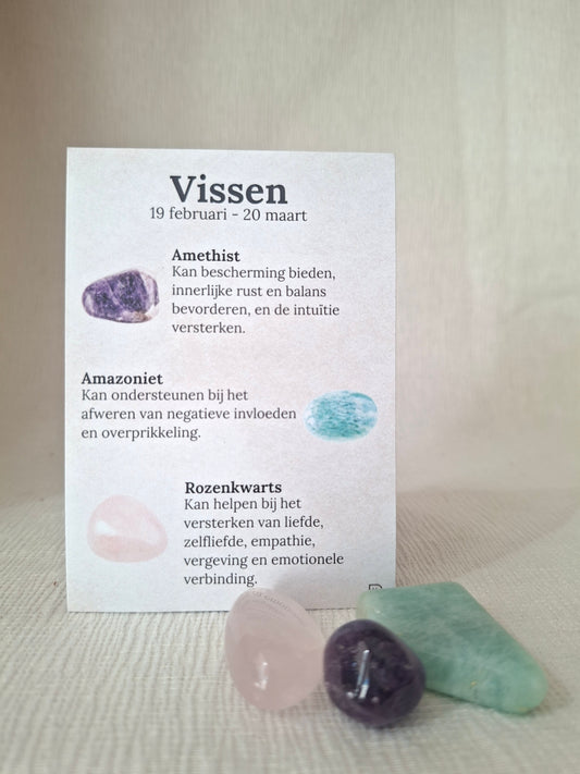 Vissen 19 feb - 20 maart